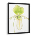 Pequeña Belleza De La Orquídea Iv - Jennifer Goldberger | Cuadro decorativo de Canvas Lab