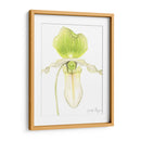 Pequeña Belleza De La Orquídea Iv - Jennifer Goldberger | Cuadro decorativo de Canvas Lab