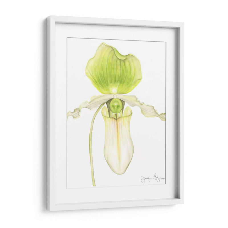 Pequeña Belleza De La Orquídea Iv - Jennifer Goldberger | Cuadro decorativo de Canvas Lab