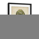 Pequeño Fiddlehead Ferns Ii - Jennifer Goldberger | Cuadro decorativo de Canvas Lab
