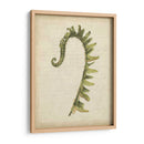 Pequeño Fiddlehead Ferns Iv - Jennifer Goldberger | Cuadro decorativo de Canvas Lab