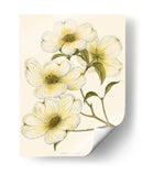 Madera Del Perro - John Silva | Cuadro decorativo de Canvas Lab