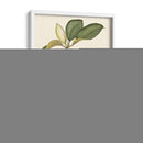 Magnolia - John Silva | Cuadro decorativo de Canvas Lab