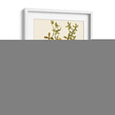 Orchid Array Ii - Drake | Cuadro decorativo de Canvas Lab