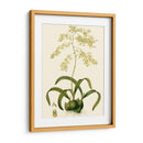 Orchid Array Iii - Drake | Cuadro decorativo de Canvas Lab