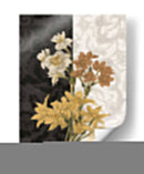 Centro Iii - James Burghardt | Cuadro decorativo de Canvas Lab