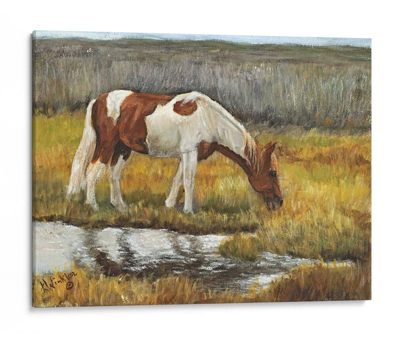 Pradera Masticando - Kathy Winkler | Cuadro decorativo de Canvas Lab