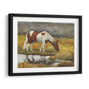 Pradera Masticando - Kathy Winkler | Cuadro decorativo de Canvas Lab