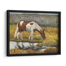 Pradera Masticando - Kathy Winkler | Cuadro decorativo de Canvas Lab