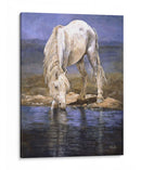 Rapsodia En Azul - Kathy Winkler | Cuadro decorativo de Canvas Lab