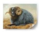Baa Baa Black Ovejas - Kathy Winkler | Cuadro decorativo de Canvas Lab
