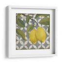 Fruta Y Patrón I - Megan Meagher | Cuadro decorativo de Canvas Lab