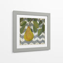 Fruta Y Patrón Ii - Megan Meagher | Cuadro decorativo de Canvas Lab