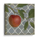 Fruta Y Patrón Iii - Megan Meagher | Cuadro decorativo de Canvas Lab
