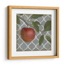 Fruta Y Patrón Iii - Megan Meagher | Cuadro decorativo de Canvas Lab