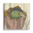 Montaje Costero Iii - Vision Studio | Cuadro decorativo de Canvas Lab