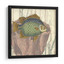 Montaje Costero Iii - Vision Studio | Cuadro decorativo de Canvas Lab