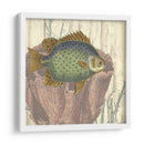 Montaje Costero Iii - Vision Studio | Cuadro decorativo de Canvas Lab