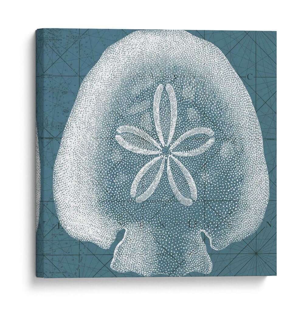 Costeral Menagerie Iv - Vision Studio | Cuadro decorativo de Canvas Lab