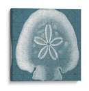 Costeral Menagerie Iv - Vision Studio | Cuadro decorativo de Canvas Lab