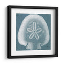 Costeral Menagerie Iv - Vision Studio | Cuadro decorativo de Canvas Lab