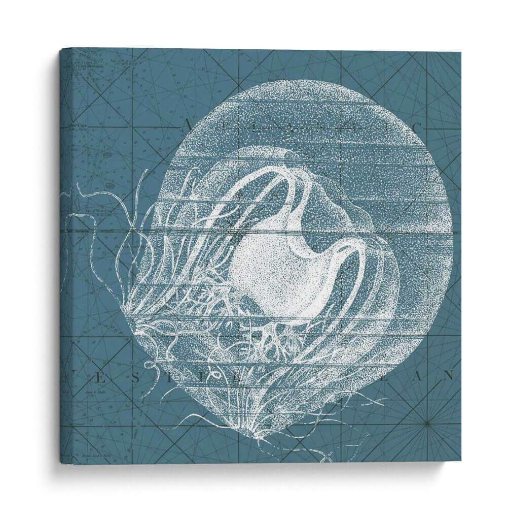 Coster Menagerie Ix - Vision Studio | Cuadro decorativo de Canvas Lab