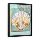 Cáscara De Vieira Y Coral - Lori Schory | Cuadro decorativo de Canvas Lab