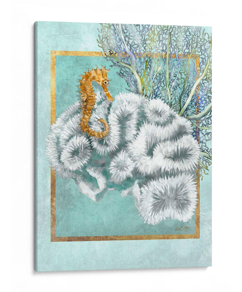 Coral Y Seahorse - Lori Schory | Cuadro decorativo de Canvas Lab