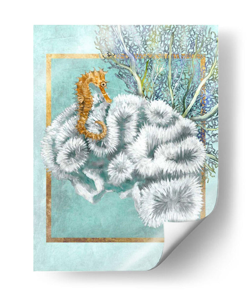 Coral Y Seahorse - Lori Schory | Cuadro decorativo de Canvas Lab