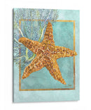 Estrella De Mar Y Coral - Lori Schory | Cuadro decorativo de Canvas Lab