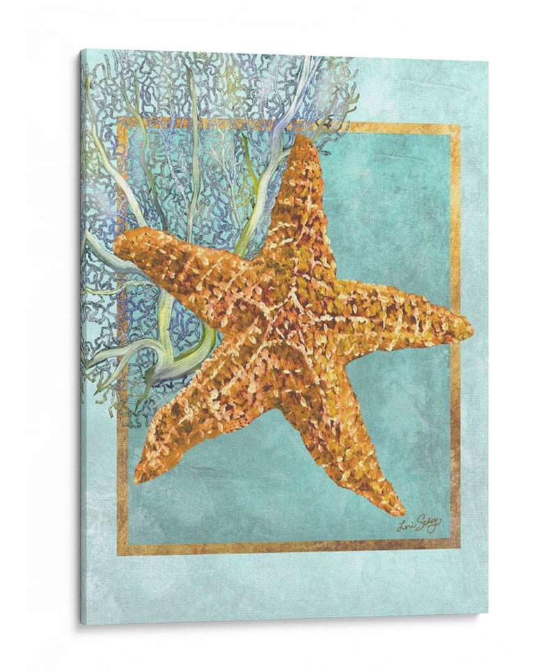 Estrella De Mar Y Coral - Lori Schory | Cuadro decorativo de Canvas Lab