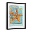 Estrella De Mar Y Coral - Lori Schory | Cuadro decorativo de Canvas Lab