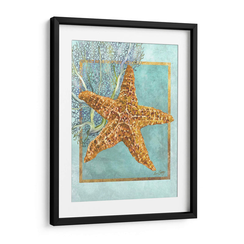 Estrella De Mar Y Coral - Lori Schory | Cuadro decorativo de Canvas Lab