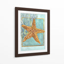 Estrella De Mar Y Coral - Lori Schory | Cuadro decorativo de Canvas Lab