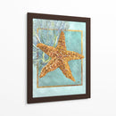 Estrella De Mar Y Coral - Lori Schory | Cuadro decorativo de Canvas Lab