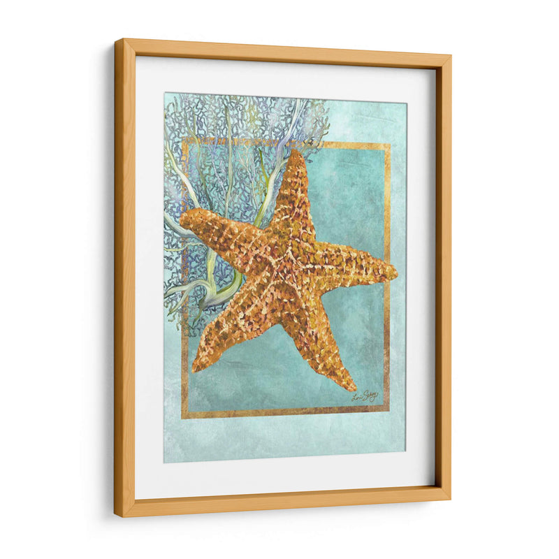 Estrella De Mar Y Coral - Lori Schory | Cuadro decorativo de Canvas Lab