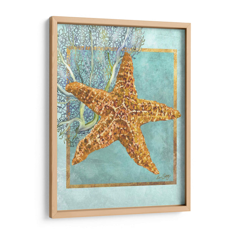 Estrella De Mar Y Coral - Lori Schory | Cuadro decorativo de Canvas Lab