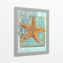 Estrella De Mar Y Coral - Lori Schory | Cuadro decorativo de Canvas Lab