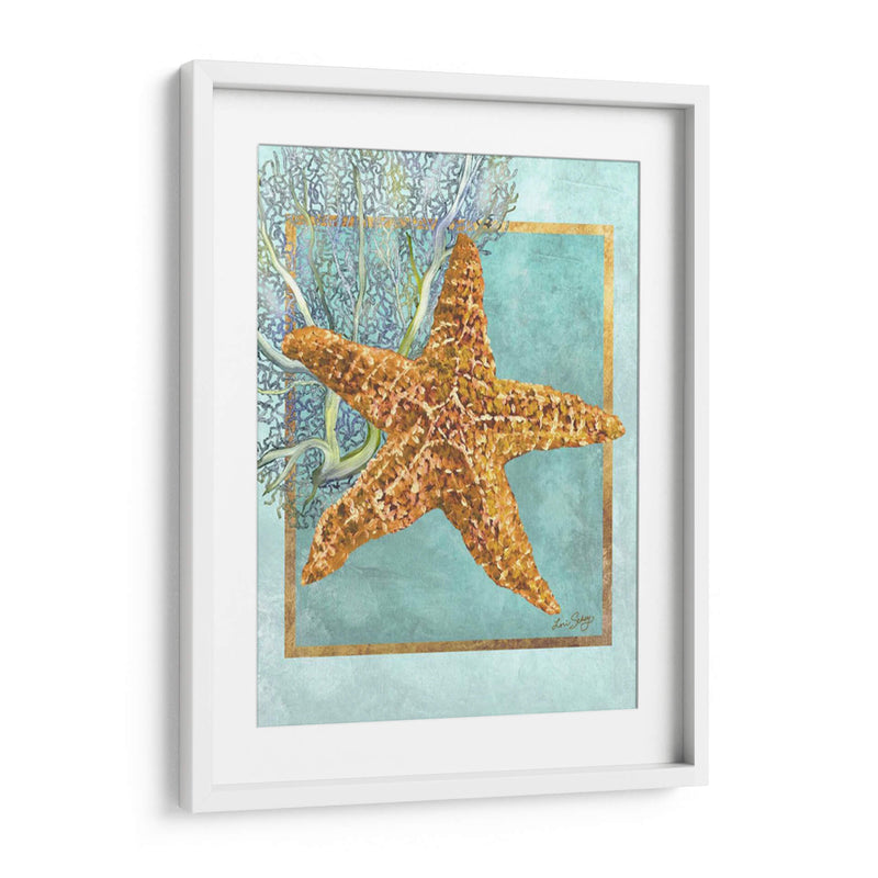 Estrella De Mar Y Coral - Lori Schory | Cuadro decorativo de Canvas Lab