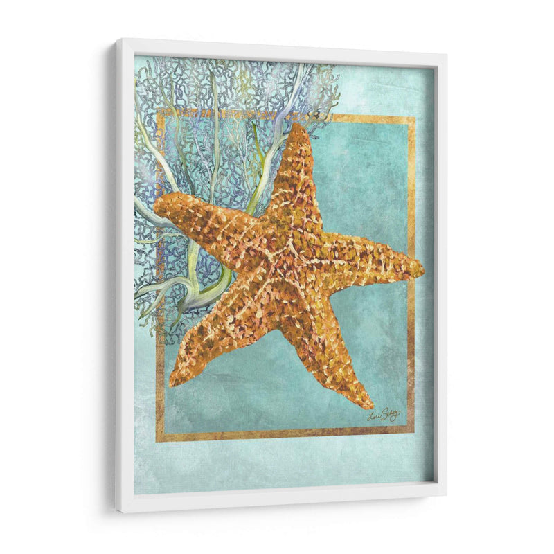 Estrella De Mar Y Coral - Lori Schory | Cuadro decorativo de Canvas Lab