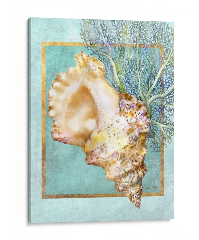 Concha Shell Y Coral - Lori Schory | Cuadro decorativo de Canvas Lab