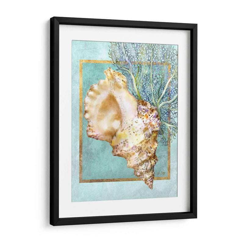 Concha Shell Y Coral - Lori Schory | Cuadro decorativo de Canvas Lab