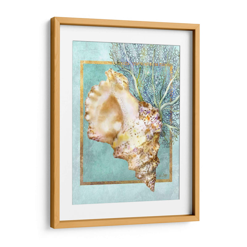 Concha Shell Y Coral - Lori Schory | Cuadro decorativo de Canvas Lab