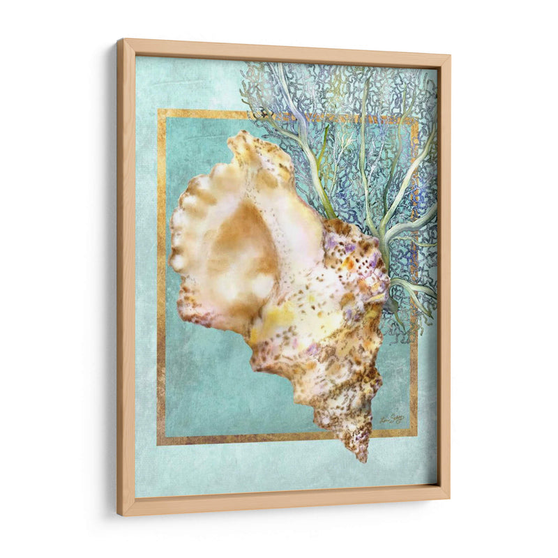 Concha Shell Y Coral - Lori Schory | Cuadro decorativo de Canvas Lab