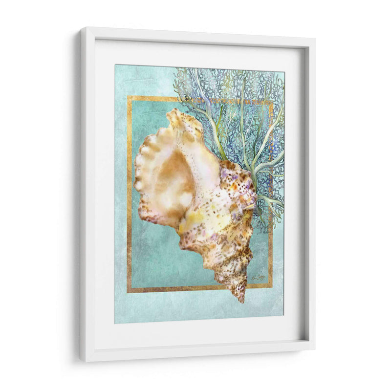 Concha Shell Y Coral - Lori Schory | Cuadro decorativo de Canvas Lab