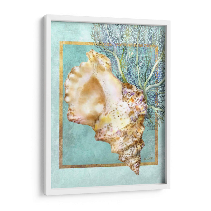 Concha Shell Y Coral - Lori Schory | Cuadro decorativo de Canvas Lab