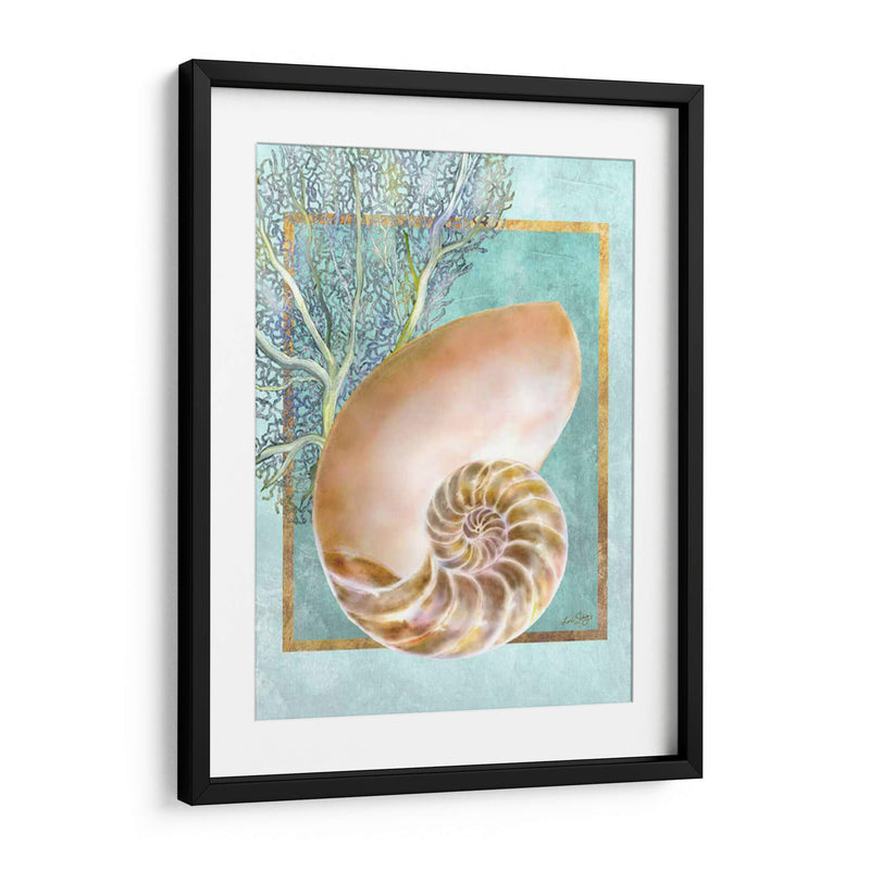 Nautilus Shell Y Coral - Lori Schory | Cuadro decorativo de Canvas Lab