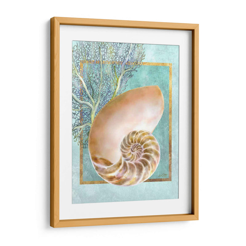 Nautilus Shell Y Coral - Lori Schory | Cuadro decorativo de Canvas Lab