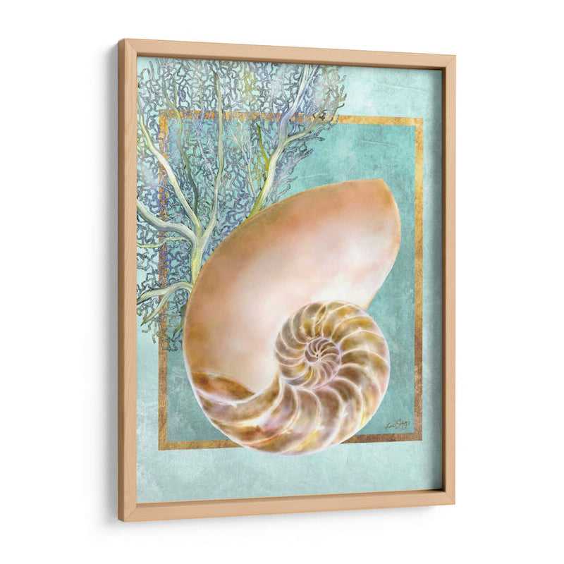 Nautilus Shell Y Coral - Lori Schory | Cuadro decorativo de Canvas Lab