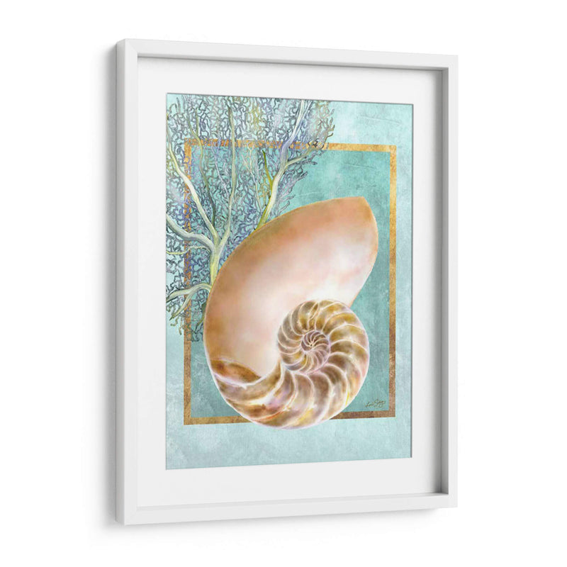 Nautilus Shell Y Coral - Lori Schory | Cuadro decorativo de Canvas Lab